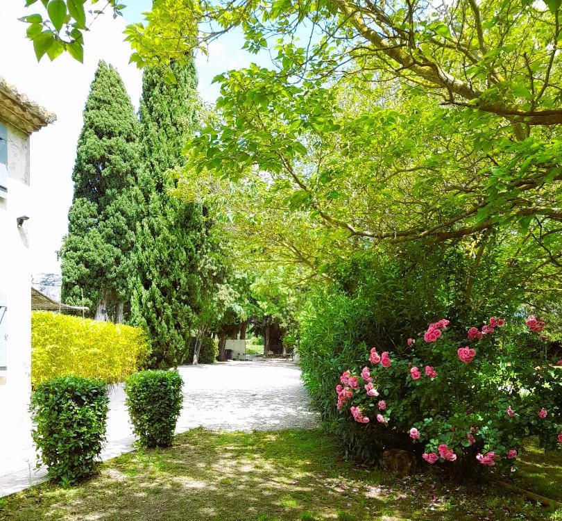 Le Mas Des Vergers Salon-de-Provence Kültér fotó